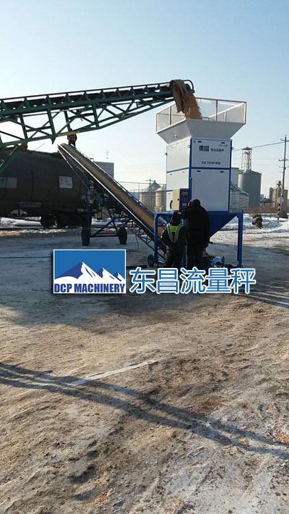 吉林糧食流量秤DCS-L100，50